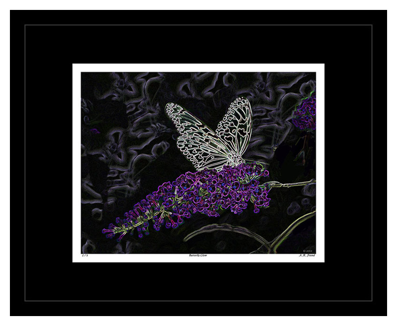 Butterfly Glow with Black Mat