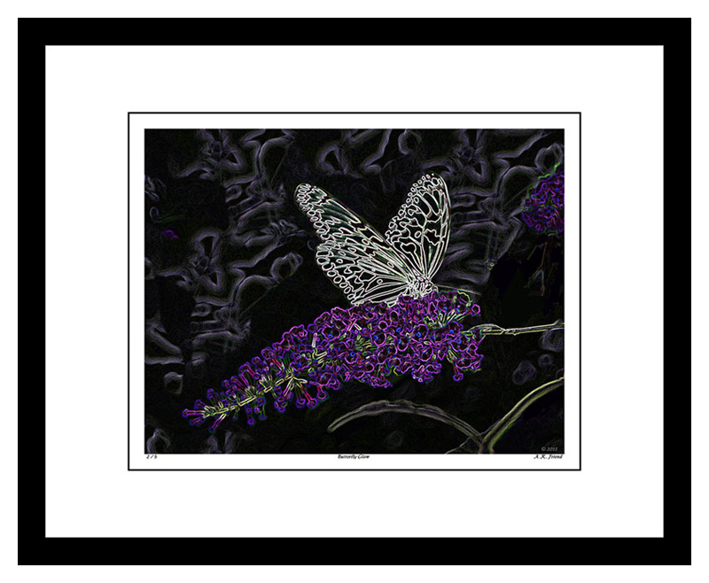 Butterfly Glow with White Mat