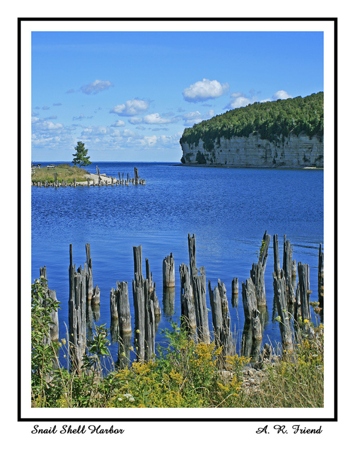 Snail Shell Harbor Notecard
